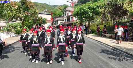 草果地古树茶价位，探寻古树茶之源：揭秘草果地古树茶的市场价格