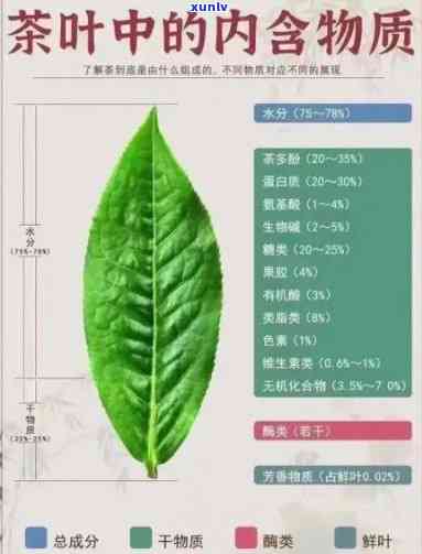 茶叶中的化学物质有-茶叶中的化学物质有哪些