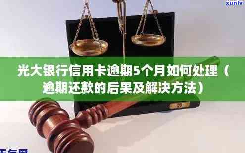 光大信用逾期5个月怎么办，急需解决！光大信用逾期5个月，我应怎么做？