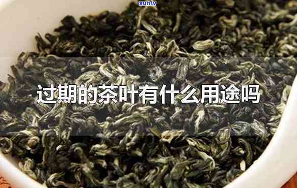 过期茶叶有什么作用-过期茶叶有什么作用与功效