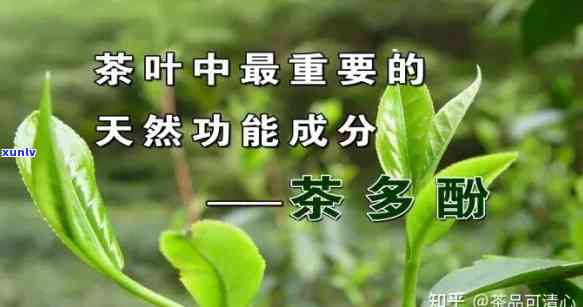 茶叶喝了起什么作用，探索茶叶的神奇功效：喝茶叶对身体有哪些积极作用？