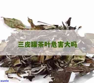 三皮罐茶叶能经常喝吗？百度百科揭示其安全性和副作用