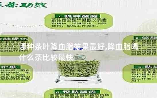 哪种茶叶降血脂好用一点？比较分析不同茶叶的降脂效果