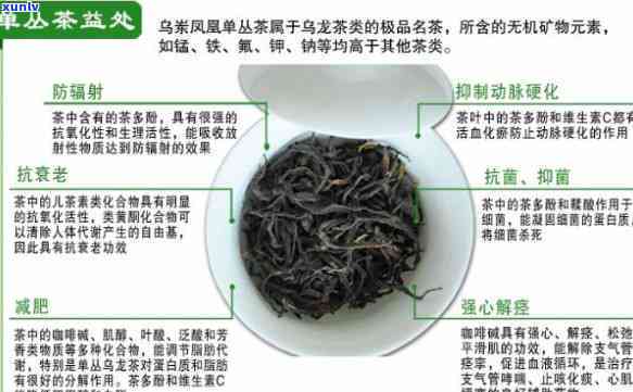 乌岽单丛茶叶的作用-乌岽单丛茶的功效和作用