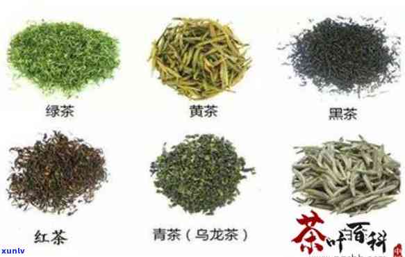 揭示茶叶的药效作用及其全面的功效