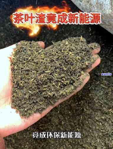 茶叶渣利用：多功能环保新 *** 