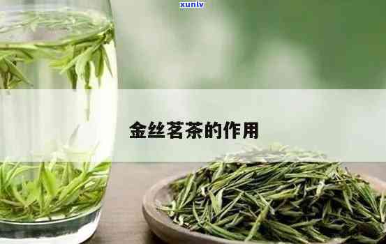 金丝茶叶功效与作用-金丝茶叶功效与作用及禁忌