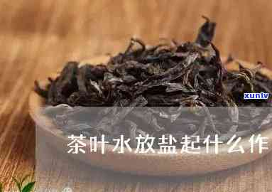 盐炒茶叶泡水的作用-盐炒茶叶泡水的作用与功效