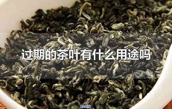 过期的茶叶有什么用-过期的茶叶有什么用途吗怎么处理