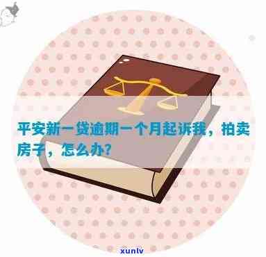 平安新一贷逾期不还会被起诉并可能抵押房产和车，但不会被判刑，否则会有什么结果？