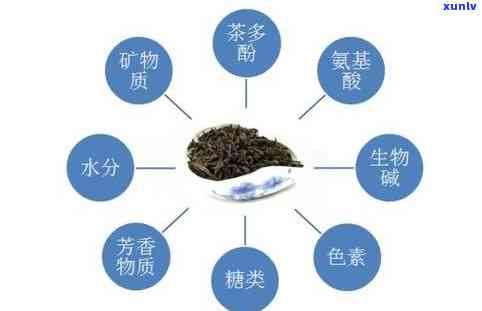 茶叶中的茶多酚对人体有什么作用，探究茶叶中的茶多酚对身体的神奇功效