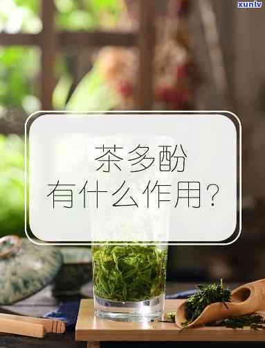 茶叶里的茶多酚有副作用吗，探究茶叶中的茶多酚：是否存在副作用？