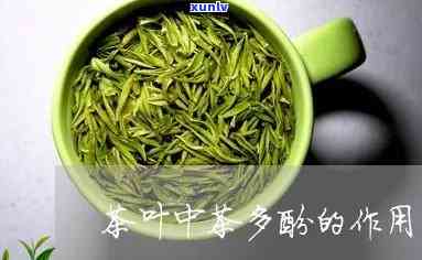 茶叶里的茶多酚有副作用吗，探究茶叶中的茶多酚：是否存在副作用？