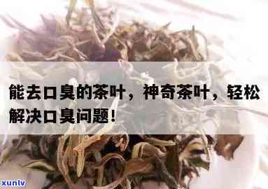 茶叶有去口臭的功效吗，探究茶叶的神奇功效：真的能有效去除口臭吗？