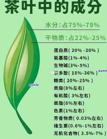 深入解析：茶叶营养物质与作用的关系