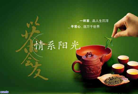 茶叶的历与时代的变迁，茶韵千年：茶叶历与时代变迁的深度探索