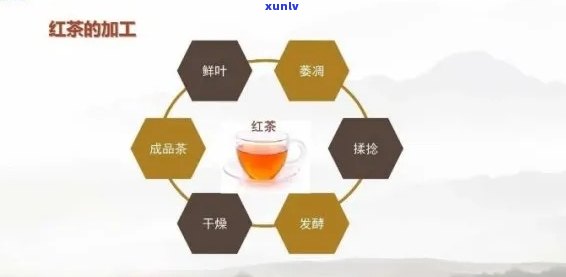 茶叶加工中酶的应用论文，探讨茶叶加工中酶的运用：一篇论文的研究综述