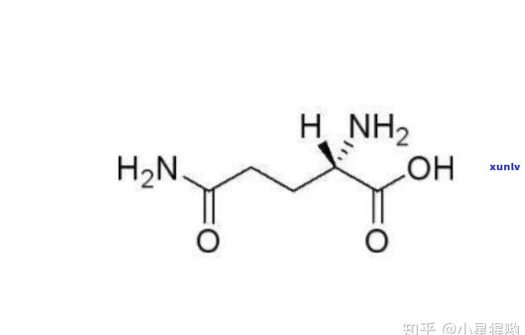 谷氨酸对人体的作用：全面解析