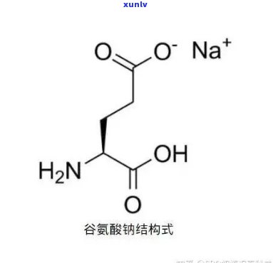 谷氨酸能，揭示谷氨酸的神奇力量：从味觉到健的关键角色