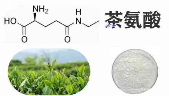 谷氨酸在茶叶的作用-谷氨酸在茶叶的作用是什么