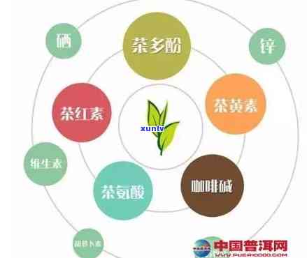 茶叶中维生素的作用与功效全解析