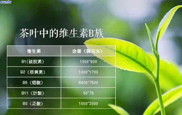 茶叶中维生素的作用-茶叶中维生素的作用是什么