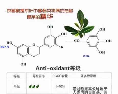 揭示茶叶中的神秘成分：多巴胺的作用与意义