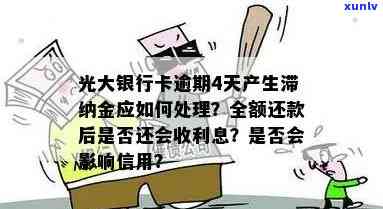 全面掌握翡翠种水打灯鉴别技巧：从颜色、纹理到灯光照射效果的详细解析