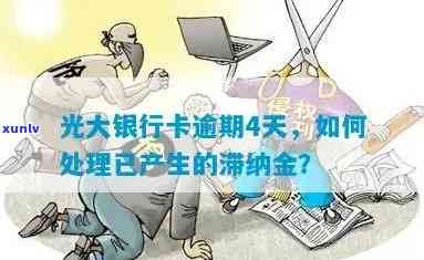 全面掌握翡翠种水打灯鉴别技巧：从颜色、纹理到灯光照射效果的详细解析