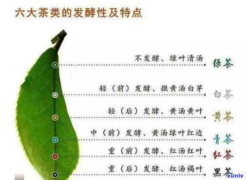 茶叶中的保健功效成分种类解析