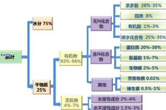 茶叶中的保健功效成分种类解析