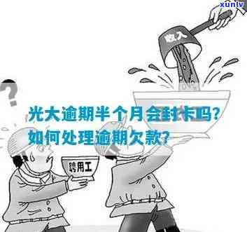 光大卡逾期半个月的结果及解决  是什么？