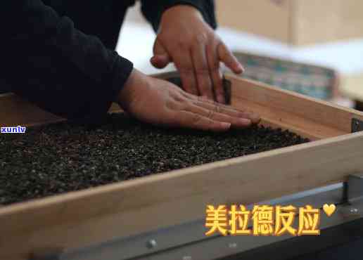 深入解析：茶叶中的美拉德反应原理