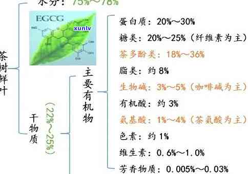 茶叶含有什么，探秘茶叶：了解茶叶中所含的营养成分与健益处