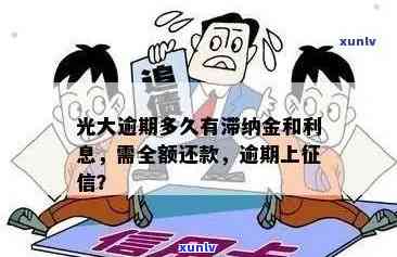 小赢光大薪期贷逾期结果及与关系