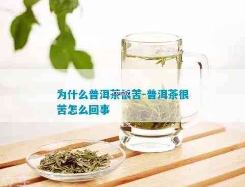 茶叶很苦是什么原因-茶叶有苦味是低档茶吗