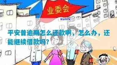 平安普逾期一年还能采用吗？