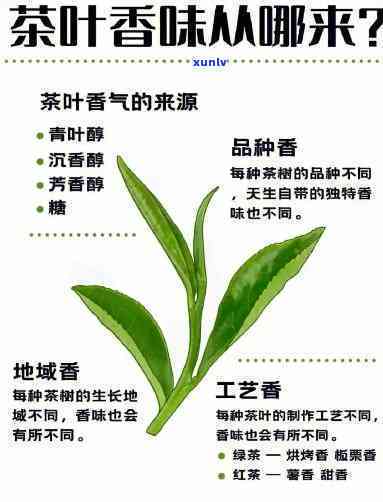 探究茶叶香气形成的原因：详细解析