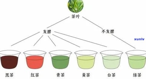 茶叶内部问题及原因-茶叶内部问题及原因分析