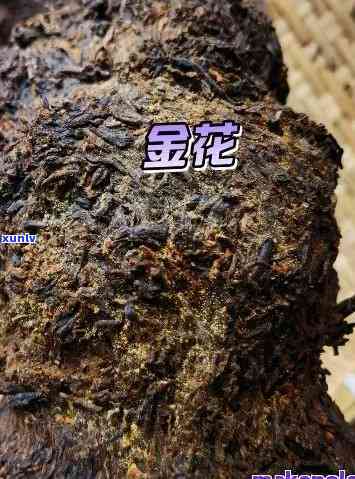 茶叶的金花是啥样子的，探秘茶：它是什么样子的？