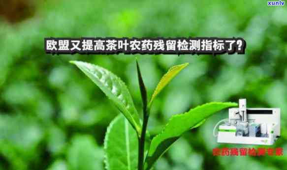 茶叶农残超标的重大危害及其影响深度解析