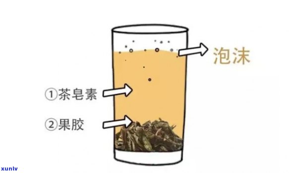 茶叶泡沫怎么回事，探究茶叶泡沫的形成原因与影响因素