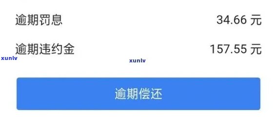 从设计到 *** ：全方位翡翠项链定制指南，让你轻松拥有独一无二的珠宝