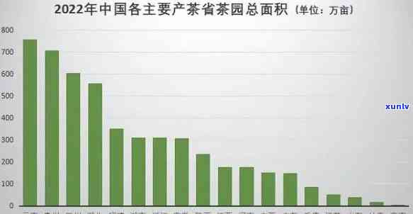 茶叶带来的经济效益全面解析