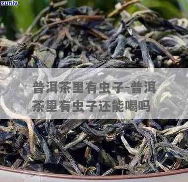 哪些虫子对茶叶有益-哪些虫子对茶叶有益处