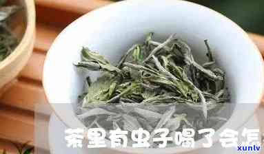 哪些虫子对茶叶有益-哪些虫子对茶叶有益处