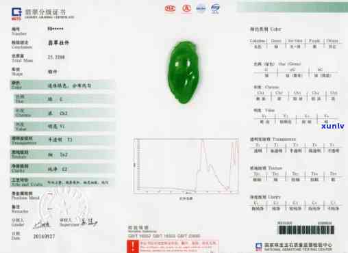 翡翠国检，权威认证：揭秘翡翠国检，保障消费者权益