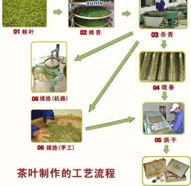 竹叶青茶叶 *** 工艺-竹叶青茶叶 *** 工艺流程图