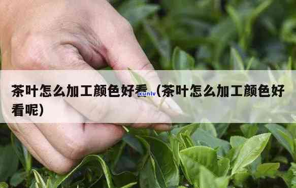 茶叶怎么加工颜色好，提升茶叶色泽的秘诀：深度解析茶叶加工中的颜色优化技巧