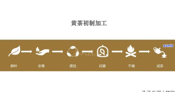 茶叶闷黄是什么工艺的原因？详解其含义与 *** 过程